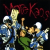 VARIOUS ARTISTS: More Kaos