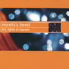 MORELLA'S FOREST: Tiny Lights of Heaven
