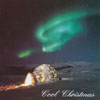 BOBBY ZEE & ZOE: Cool Christmas