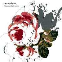 Morphologue : Flower Art Pictures