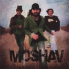 MOSHAV: Misplaced