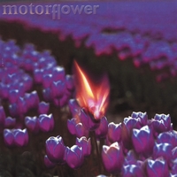 Motorflower : Motorflower