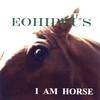 DIANNE MOTT: Eohippus ~ I am Horse