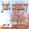 MR.E(SONGWRITER) AND THE TOTALLY OBSCURE BAND: Just Country
