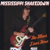 MISSISSIPPI SHAKEDOWN: The Blues Lives Here