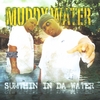 MUDDY WATER: Sumthin in da Water