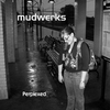 MUDWERKS: Perplexed