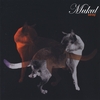 MUKUL: Stray