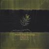 JONATHAN MUNSON: Small Beginnings