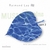 RAIMOND LAP: Music 4 Brains, Vol. 2