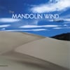 THE MANDOLIN WIND PROJECT: The Mandolin Wind Project