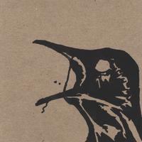 Myna : Echoes of the Dead