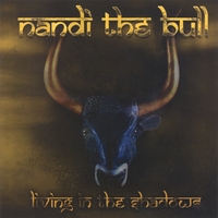 Nandi the Bull : Living in the Shadows