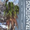 NANO 3: Transitions