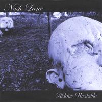 Nash Lane : Aldous Huxtable