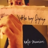 NATE BUCCIERI: Little Boy Flying