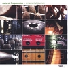 NATURAL FREQUENCIES AKA ANDREAS LEIFELD: Ornamental Journey