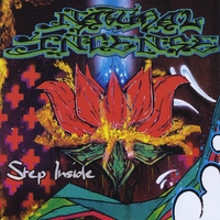 Natural Incense : Step Inside
