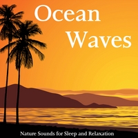 Nature Sounds for Sleep and Relaxation : Ocean Waves