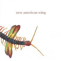 New American Wing : New American Wing