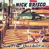 NICK BRISCO: Damn The Possibilities