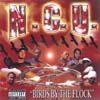 NCU: Birds By The Flock