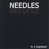 NEEDLES: In A Haystack
