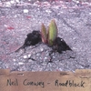 NEIL CONWAY: Roadblock