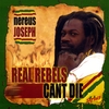 NEREUS JOSEPH: Real Rebels Cant Die