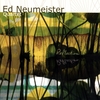 ED NEUMEISTER: Reflection