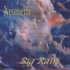 NEUMERIA: Big Rain