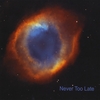 NEVER TOO LATE: Never Too Late