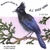 JOHN NEVILLE & MEL COULSON: Beginners Guide to B.C. Bird Song
