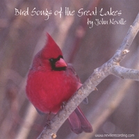 JOHN NEVILLE: Bird Songs of the Great Lakes