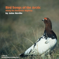 JOHN NEVILLE: Bird Songs of the Arctic-Along the Dempster Highway