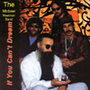 MICHAEL NEWMAN BAND: If You Can't Dream