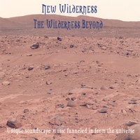 NEW WILDERNESS: The Wilderness Beyond