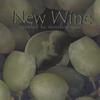NEW WINE: Created to Worship You