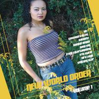 VARIOUS ARTISTS: New World Order Volume 1