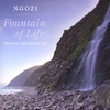 NGOZI: Fountain Of Life