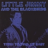 NICHOLAS JAMES: Little Jimmy and the Blackbirds (Tryin' to Find My Baby)