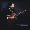 THE NICK HAAS TRIO: Another Dream