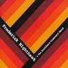 FREDERICK NIGHTHAWK: Frederick Nighthawk and The Southern Crescent Band