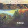 NIGHTINGALE: The Coming Dawn