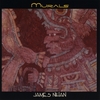 JAMES NIHAN: Murals