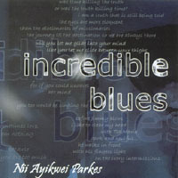 Nii Ayikwei Parkes : Incredible Blues
