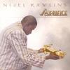 NIJEL RAWLINS: Sax-rifice