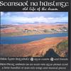 NIKKI LYNN RAGSDALE: Seansaol na hAislinge, old life of the dream