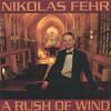 NIKOLAS FEHR: A Rush of Wind