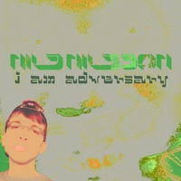 NILS NILSSON: I Am Adversary